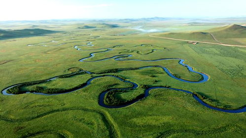 蒙古族美食文化：草原特色，舌尖上的游牧风情