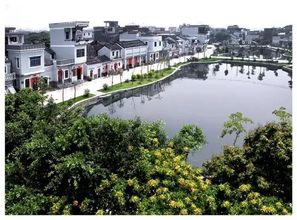 阳澄湖镇的按摩奇葩日常——随手写的碎碎念