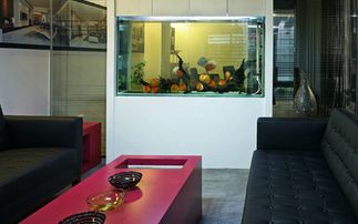 家居风水鱼缸摆放有哪些讲究和风水鱼缸摆放法？