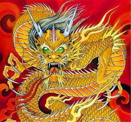 中国龙文化传承：揭秘千年龙俗风情，探寻民俗瑰宝