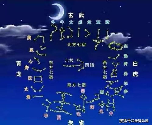 朱雀星宿与午夜幽灵