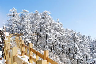 啊啊啊！西岭雪山也太绝了吧！