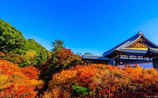 七、 旅行攻略：轻巧松出行