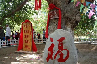 四、 古文化底蕴街：穿越时空的历史持续发展之旅