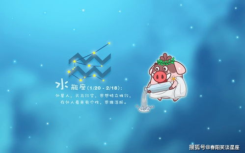 双子座：社交达人