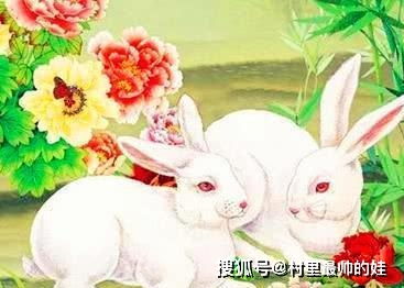 爱情这玩意儿谁说得准？属兔白羊和属羊巨蟹配不配？笑死！