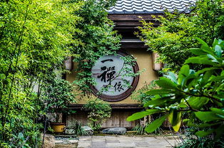 景点奇遇：从失望到惊喜的过山车