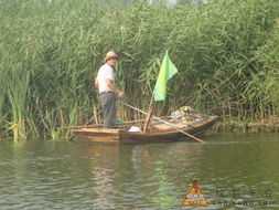一、 白洋淀：夏日避暑名地