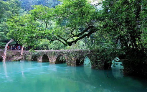 云漫湖：瑞士模式与贵州特色的怪诞混搭