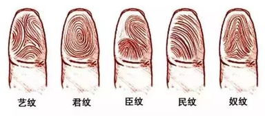 寒气刺骨指的是哪个生肖？这个生肖又代表着什么含义？