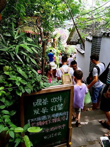 一、引子：一场说走就走的旅行，从校园开始，或者结束？