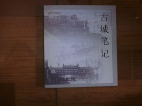 子章节：战士们的较小日记