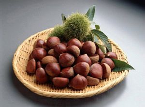 从田间到餐桌：我的亲身体验记录