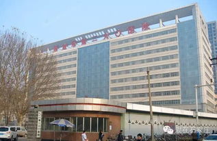 深圳北的魔幻现实：当医院变成网红打卡点