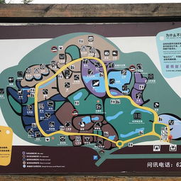 三、开放时间：避开高峰期