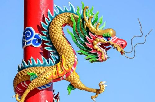 2021年属龙的人与2000年出生的最佳生肖配对是什么？
