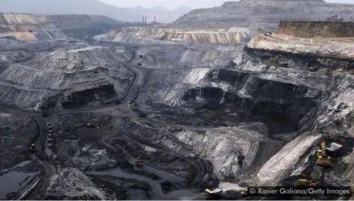 1.1 被遗忘的合欢树传说