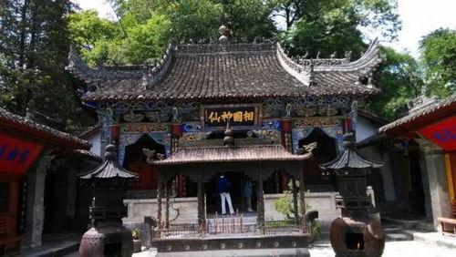 春日特惠， 限时抢购