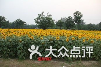 一、免费？呵呵，这些隐形消费能让你当场吐血