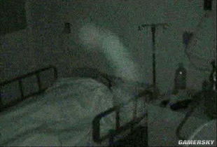 那东西寂静的夜晚