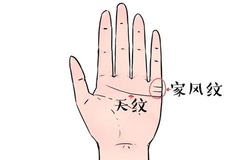第一条：家风纹中间有个点那是咋回事？