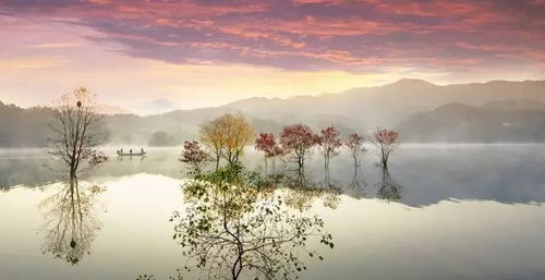 老年人梦见美丽风景和清澈水流