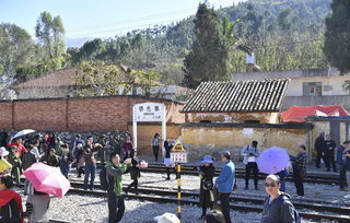 三、 碧色寨风景区——山水画卷里的迷雾