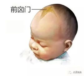 小孩囟门闭合晚风水,孩子囟门闭合晚对以后有影响吗