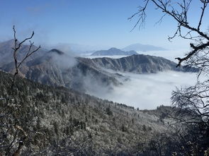 省钱秘笈大公开！