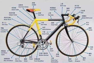 技术与情感交织：不只是方便，更是体验