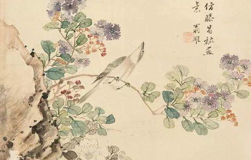 花鸟鱼虫也能取名?没想到你是这样的 