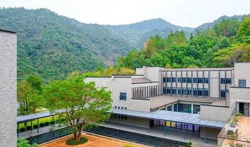 历史持续发展的足迹：园岭崭新村的变迁