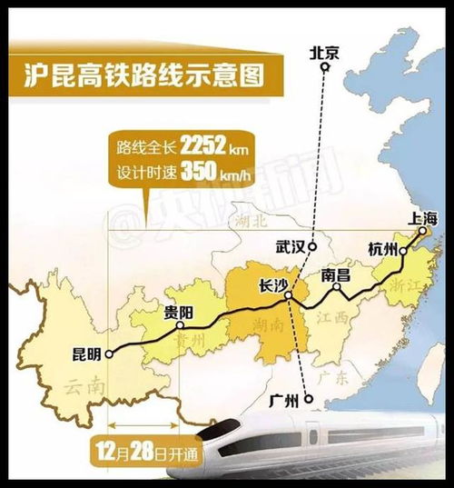 2.1 秋天的贵阳，是一场金色的噩梦