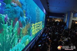 3. 杭州海底世界 (近距离接触海洋生物)