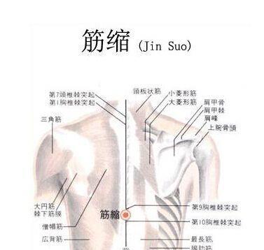瑶字的美良好寓意