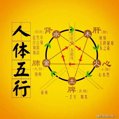 金：坚守与收敛——凛冬之色