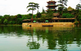 苏家屯姚千街道，野餐避暑的神地？