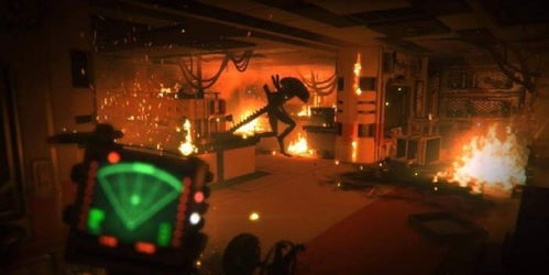 不经意的瞥见——星盘上的克星