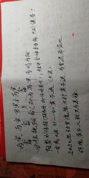 纯阳八字到底是个啥鬼东西？