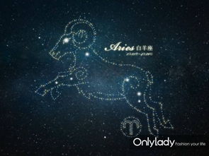 属羊水瓶座2026年六月运势中，水瓶座今日开运物品具体指什么？