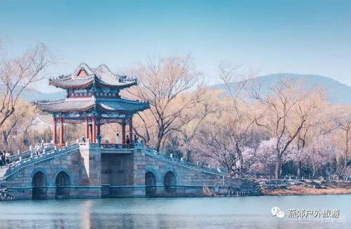 颐和园：皇家园林的春天风景