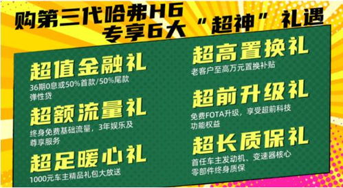 4. 保养细节: 用心呵护你的宝贝