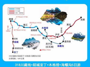 第一天：抵达+宽窄巷子+熊猫基地（半睡半醒）