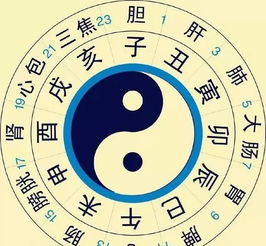 五、 综合判读：把所you碎片拼成完整图谱