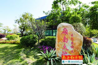 上午：岭南大地田园综合体 (自拍圣地!)