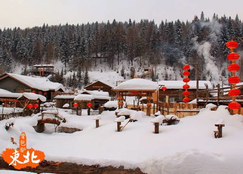 一、为什么是抚顺？为什么是雪乡？为什么是冬天？