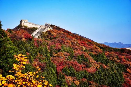 1. 梧桐山主峰