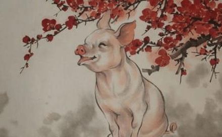 属猪男性一生财运如何，最旺饰品是什么？