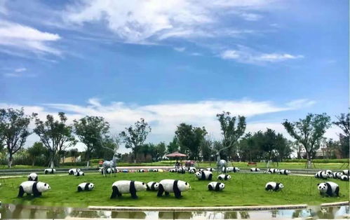 鄂州夏日亲子游， 一场说走就走的“混乱”大冒险