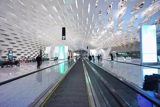 夜幕降临的深圳机场经济型酒店大乱炖（别说我没提醒你）